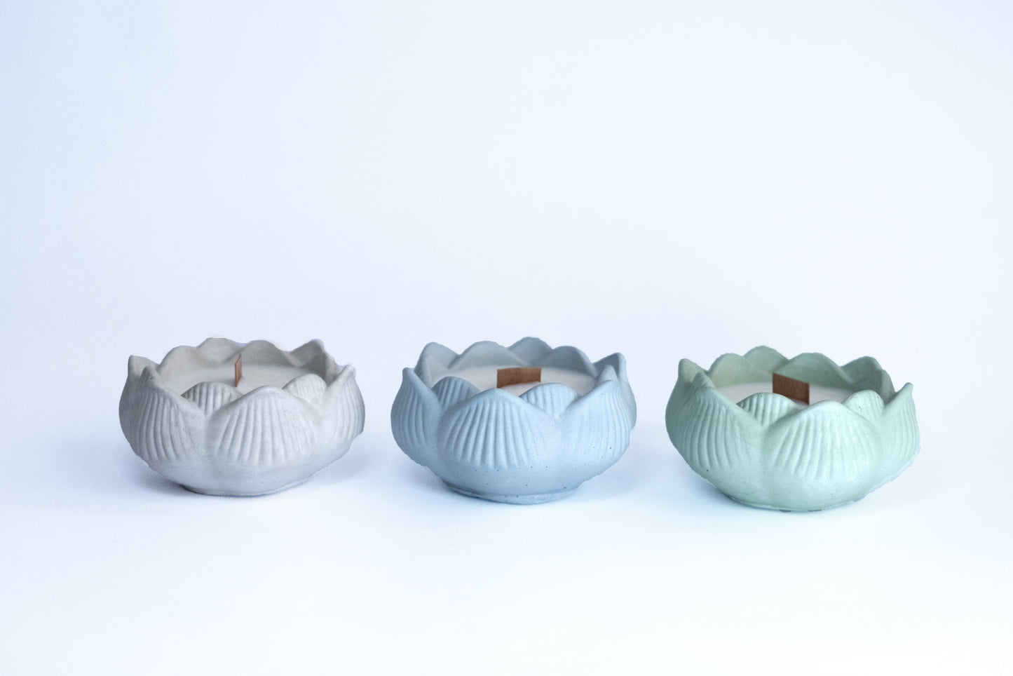 Vela lotus