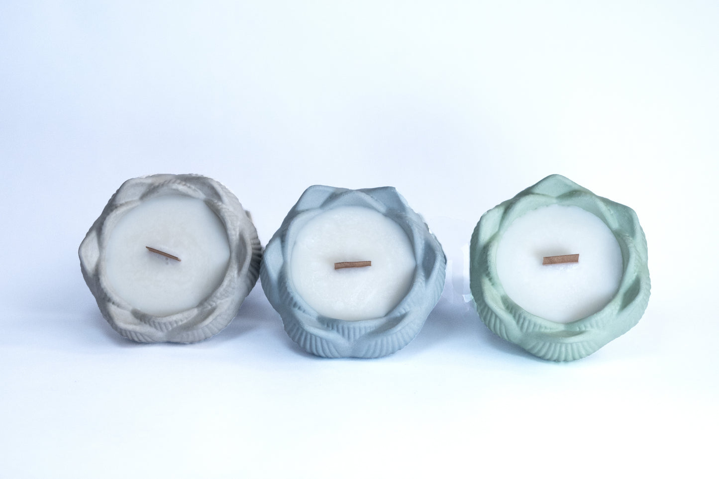 Vela lotus